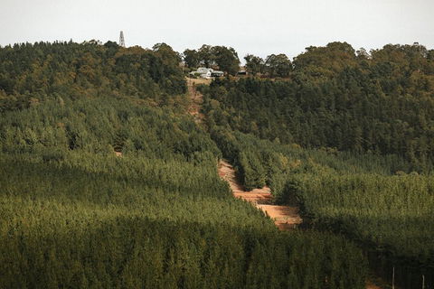 Nannup Hideaway - Tourism Cairns 4