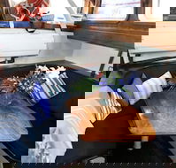 Coral Sea Dreaming Dive and Sail - Tourism Cairns