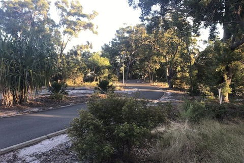 Eurolie On High - Tourism Cairns 2