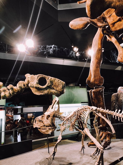 Melbourne River Views - Tourism Cairns 4