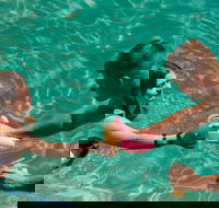 Bounce Cairns - Tourism Cairns