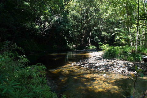 Noah Creek Eco Huts - Tourism Cairns 4