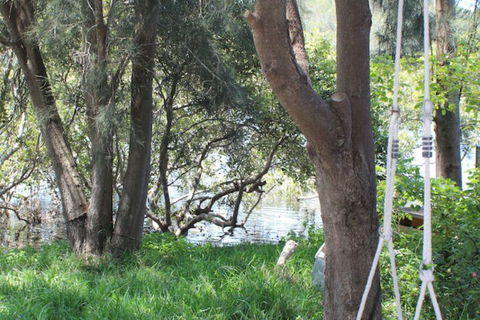 Waters Edge - Tourism Cairns 5