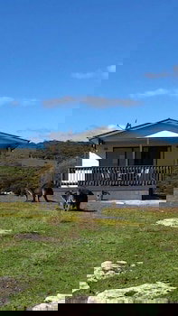 Waves And Wildlife - Tourism Cairns 1