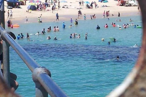 Waterfront Port Noarlunga - Tourism Cairns 2