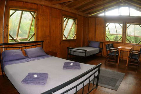 Daintree Rainforest Bungalows - Tourism Cairns 4