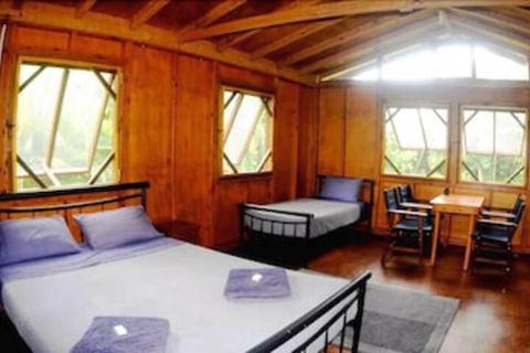 Daintree Rainforest Bungalows - Tourism Cairns 5