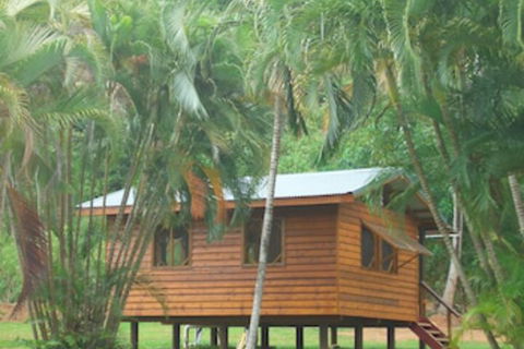 Daintree Rainforest Bungalows - Tourism Cairns 0
