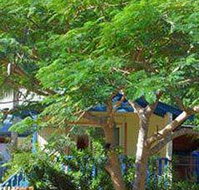 Amber Gardens Guesthouse - Tourism Cairns