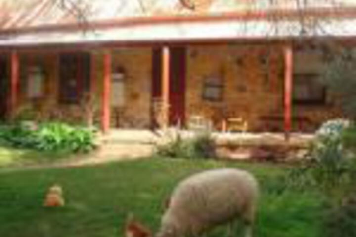 Mount Barker Junction SA Tourism Cairns