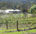 Eureka Farm - Tourism Cairns