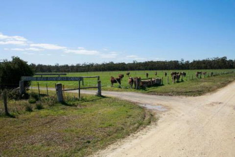 Brodribb River Rainforest Cabins Cabin 3 - Tourism Cairns 7