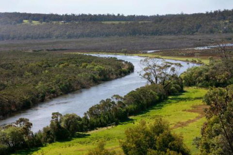 Brodribb River Rainforest Cabins Cabin 3 - Tourism Cairns 5