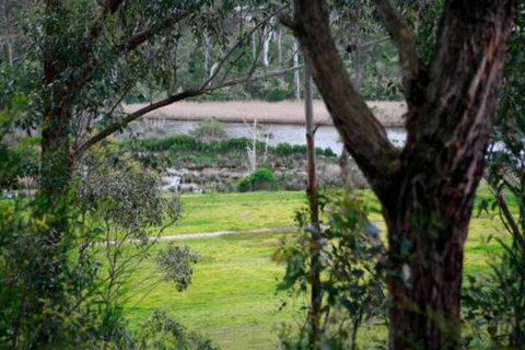 Brodribb River Rainforest Cabins Cabin 3 - Tourism Cairns 3