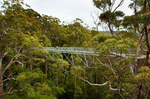 Riverside Retreat Chalets Walpole - Tourism Cairns 5