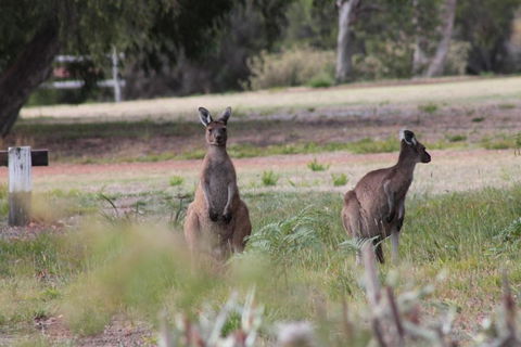 Riverside Retreat Chalets Walpole - Tourism Cairns 6