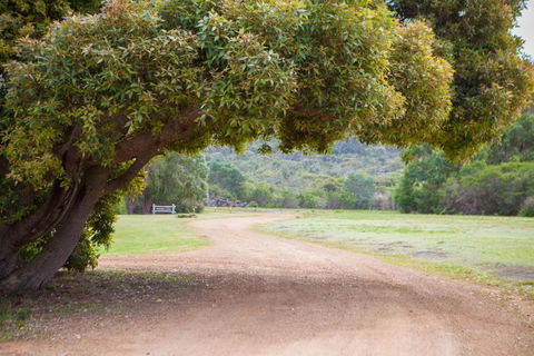 Riverside Retreat Chalets Walpole - Tourism Cairns 4
