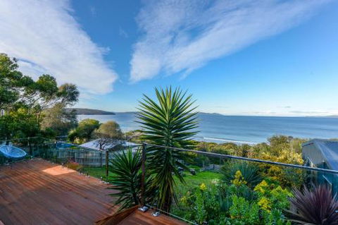 Jacks Nest - Tourism Cairns 6