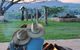 Milford Country Cottages - thumb 2