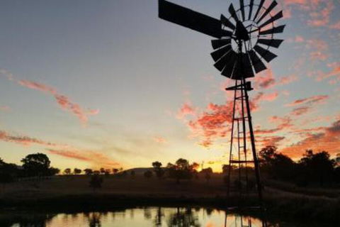 Milford Country Cottages - Tourism Cairns 3