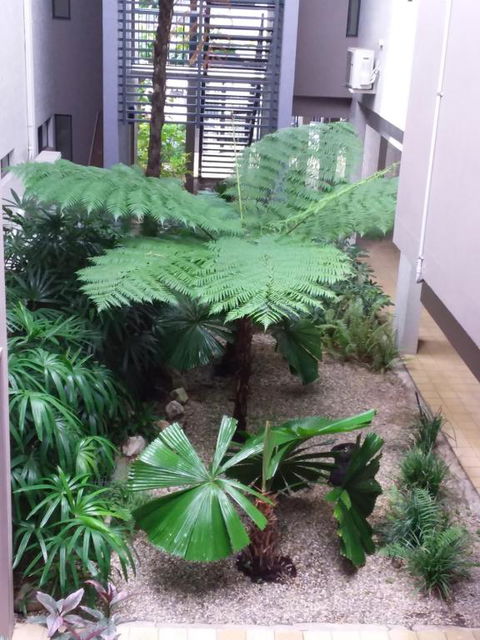 Jackies Studio Apartment - Tourism Cairns 5