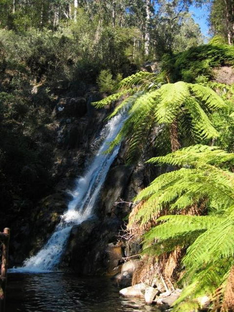 RiverCottage Selfcontained - Tourism Cairns 2