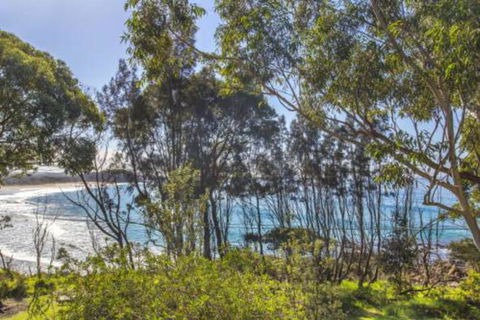 Surfers Ave 17 Narrawallee - Tourism Cairns 2