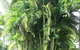 Yamacutta House - thumb 1