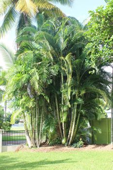 Yamacutta House - Tourism Cairns 1