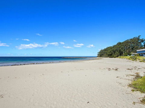 DAVIES STREET MOLLYMOOK 4 / 14 - Tourism Cairns 4