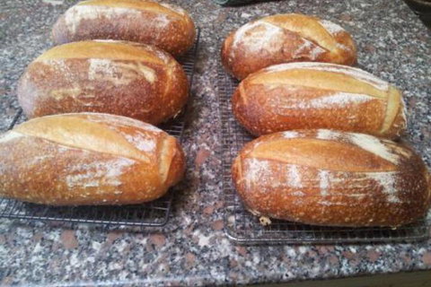 Appin Homestay B & B - Tourism Cairns 6