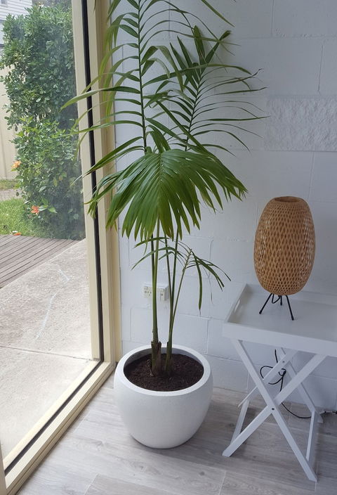 Beach Holiday Apartments Motel - Tourism Cairns 5