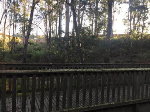 Harlea - Tourism Cairns 1