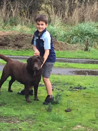 Harlea - Tourism Cairns 6