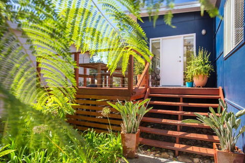 Driftwood Cottage - Tourism Cairns 2