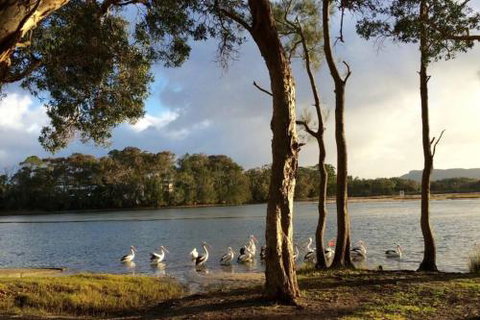 Lakehouse On Oxley - Tourism Cairns 2