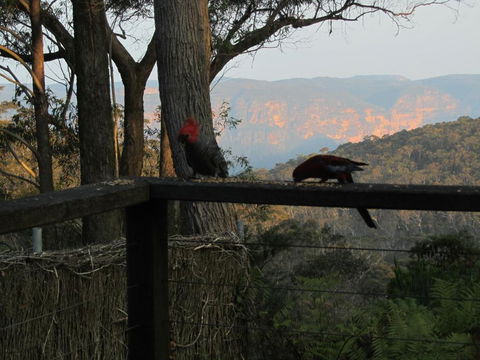 Canyon Cottage - Tourism Cairns 6