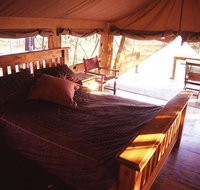 Jabiru Safari Lodge - Tourism Cairns