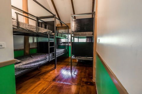 Jackaroo Treehouse Mission Beach - Tourism Cairns 0