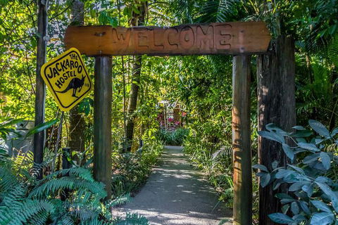 Jackaroo Treehouse Mission Beach - Tourism Cairns 1