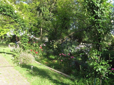 Westella Colonial B&B - Tourism Cairns 6