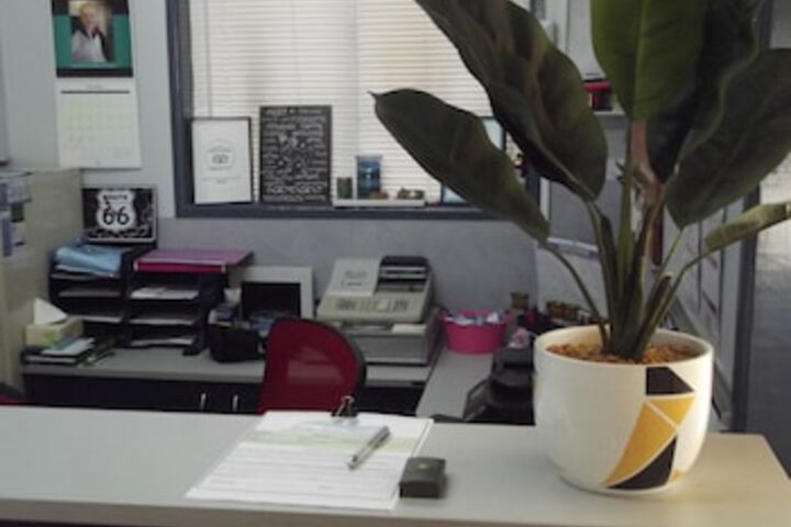 Condamine QLD Tourism Cairns