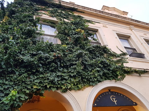 Carlton Terrace - Tourism Cairns 1