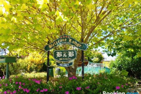 Eden Bed & Breakfast - Tourism Cairns 0