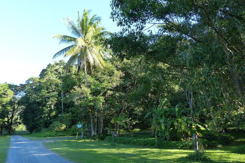 Daintree Valley Haven - Tourism Cairns 1