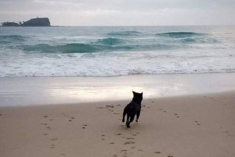 Breakers At Mudjimba Beach - Tourism Cairns 0