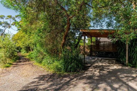 SUNSET BEACH SHACK On SURF - Tourism Cairns 3