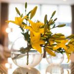 KUI Manhattan Apartments - Tourism Cairns 0