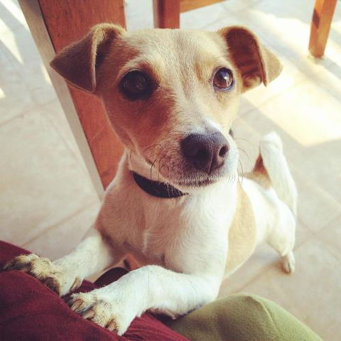 Harmony At Tower Hill Apartment - Tourism Cairns 4