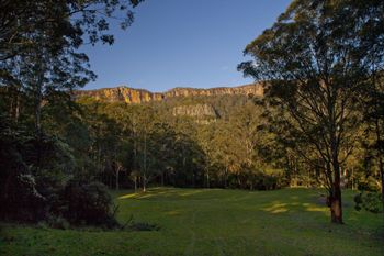 The Cedars Cottages - Tourism Cairns 3